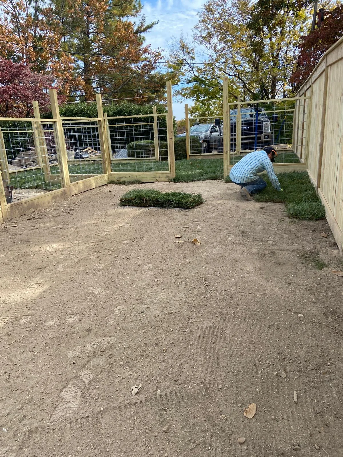 Prepared ground beside an established garden.