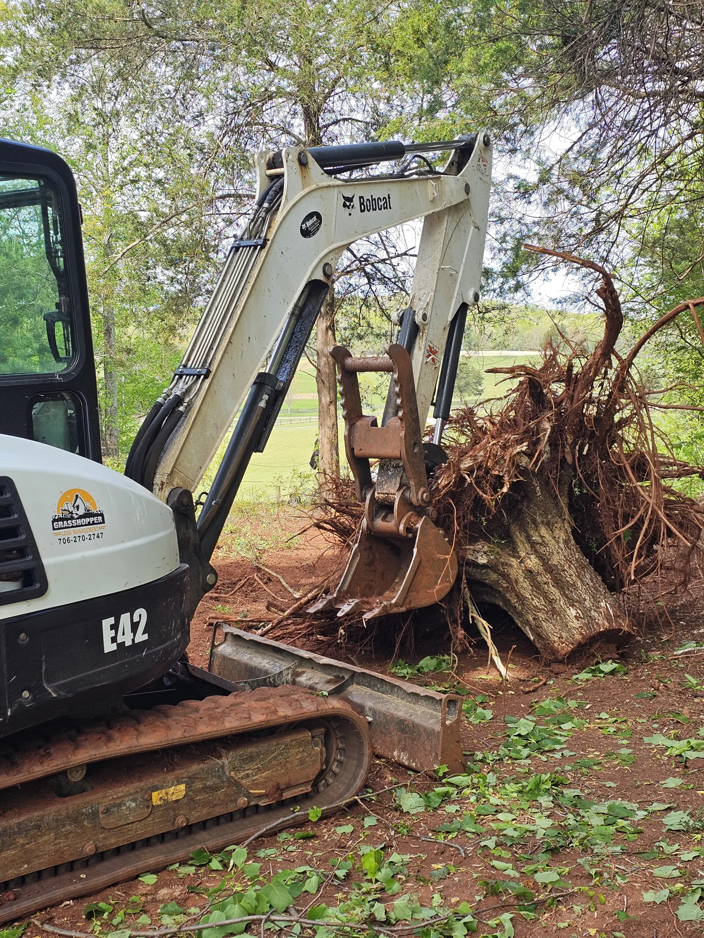 Excavator lifting a tree stump and root system.